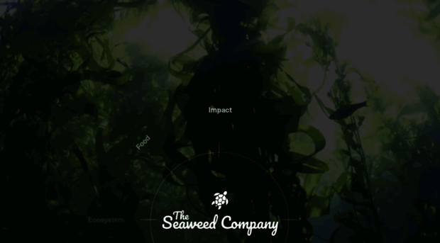 theseaweedcompany.com