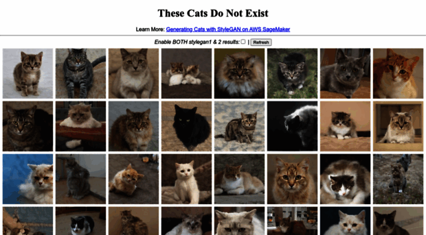 thesecatsdonotexist.com