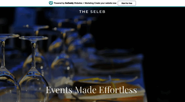 theseleb.com