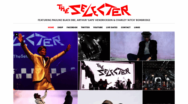 theselecter.net