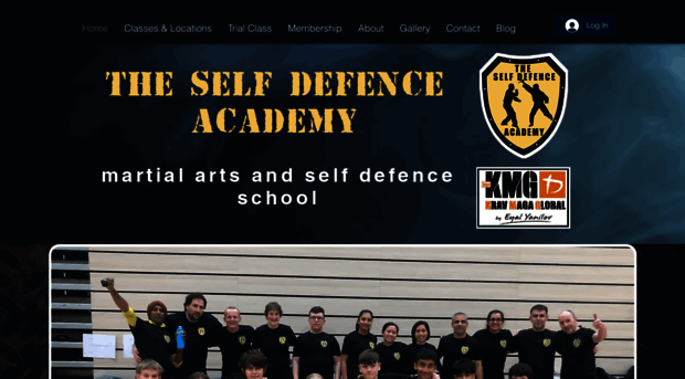 theselfdefenceacademy.com