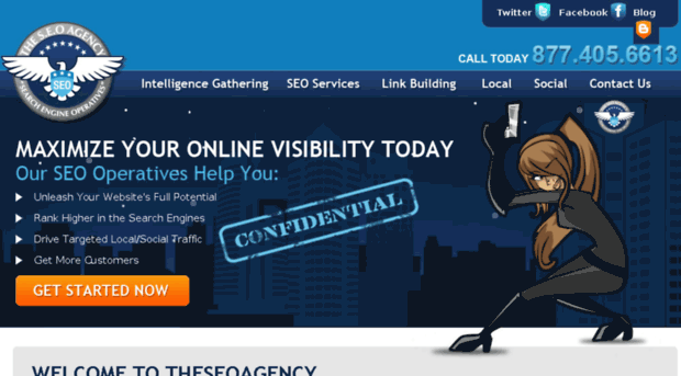 theseoagency.net