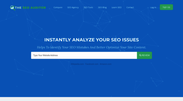 theseoauditor.com