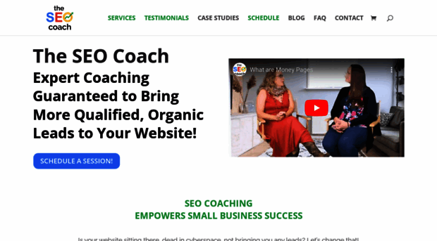 theseocoach.net