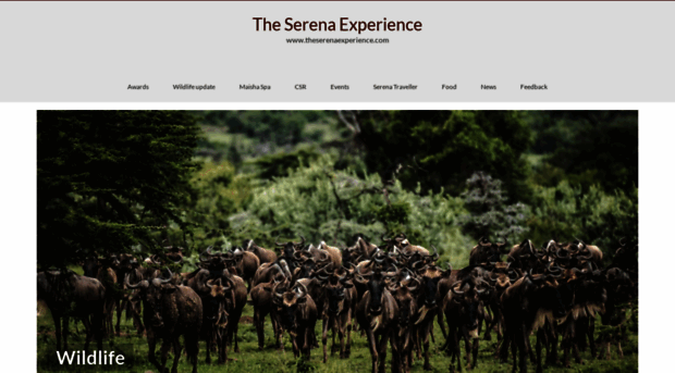 theserenaexperience.com