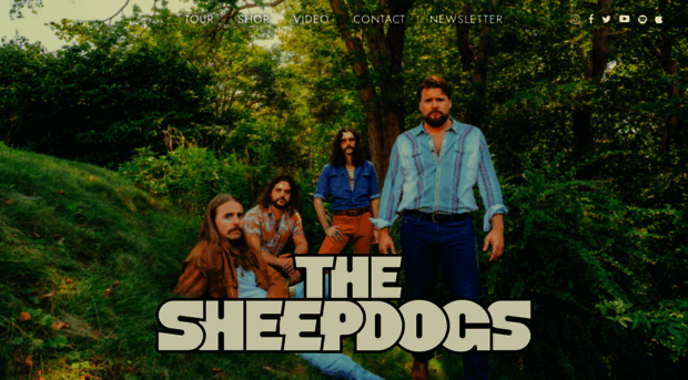 thesheepdogs.com