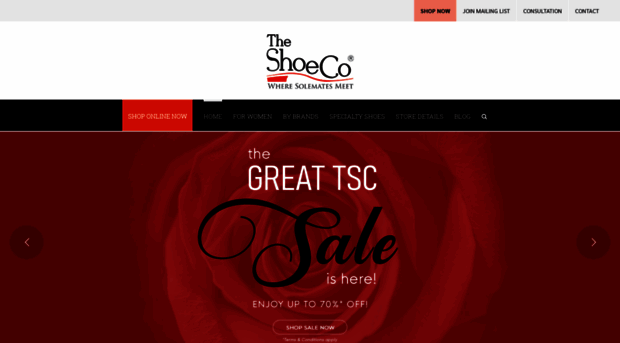 theshoeco.com.sg