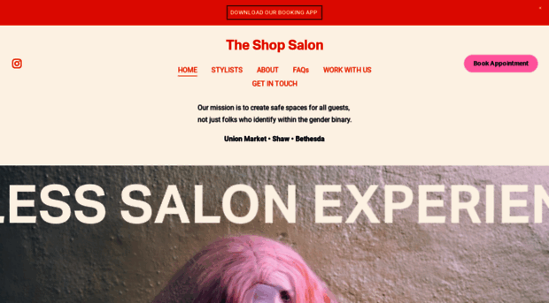 theshopsalon.com