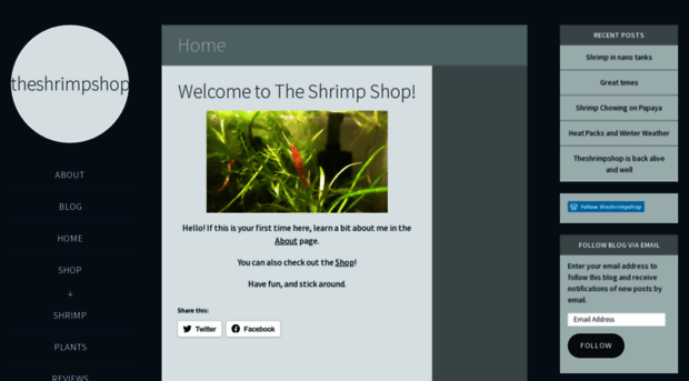 theshrimpshop.wordpress.com