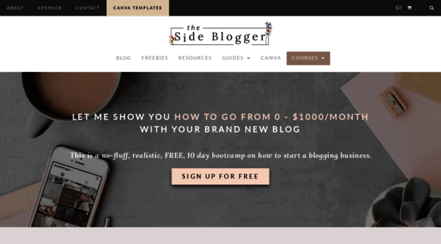 thesideblogger.com