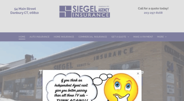 thesiegelagencyonline.com