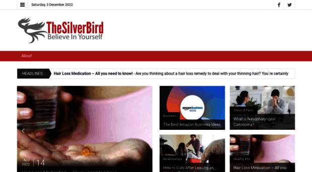 thesilverbird.com