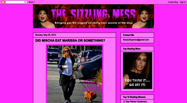 thesizzlingmess.blogspot.com