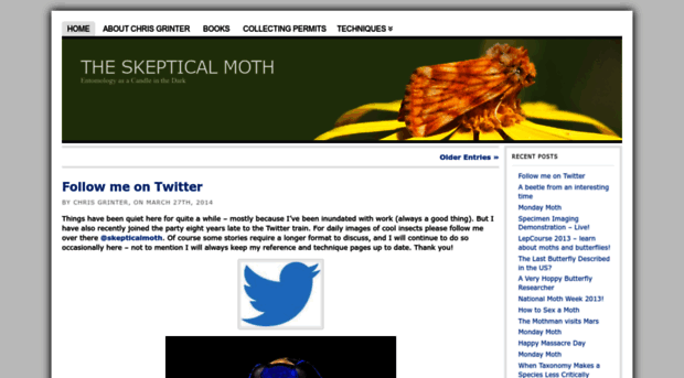 theskepticalmoth.com