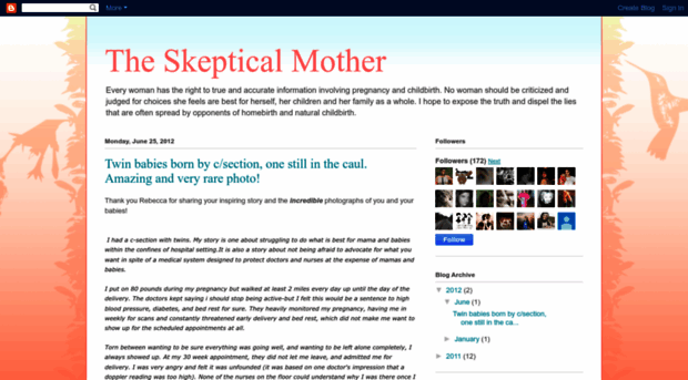 theskepticalmother.blogspot.com