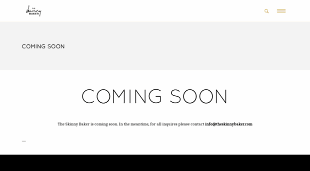 theskinnybaker.com
