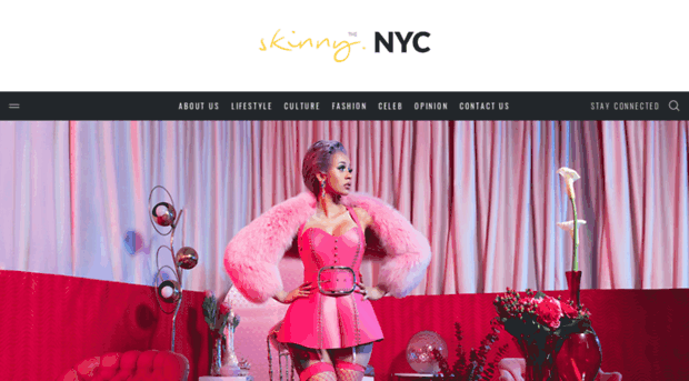 theskinnyc.com