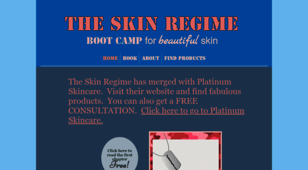 theskinregime.com