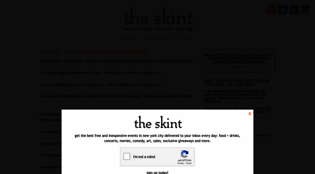 theskint.com