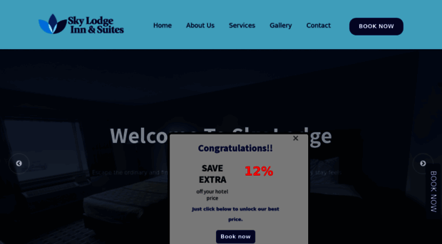theskylodgeinn.com