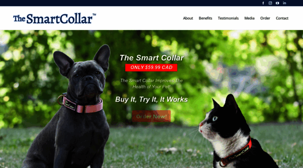 thesmartcollar.com