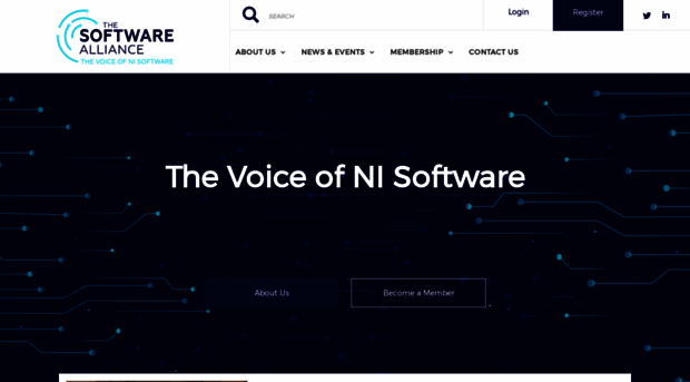 thesoftwareallianceni.co.uk