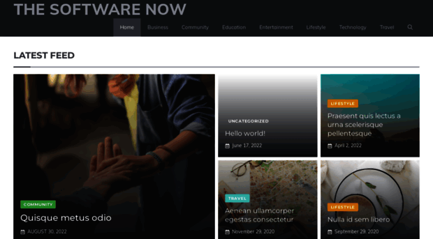 thesoftwarenow.com