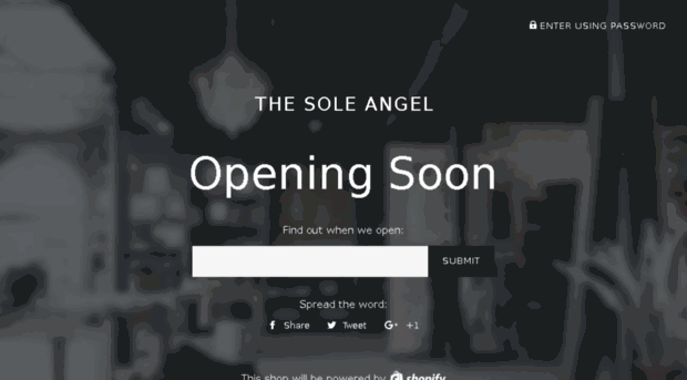 thesoleangel.com