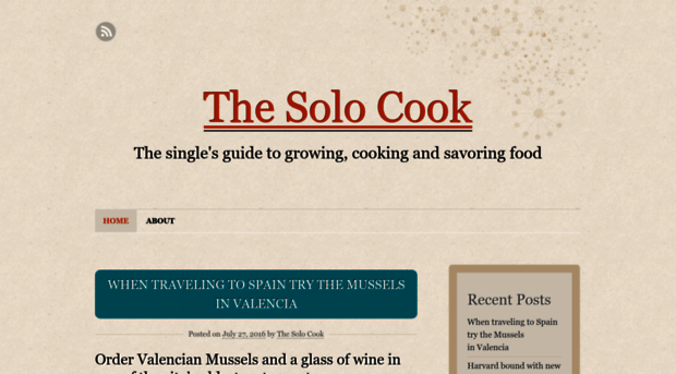 thesolocook.com