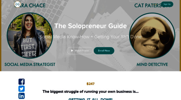 thesolopreneurguide.teachable.com