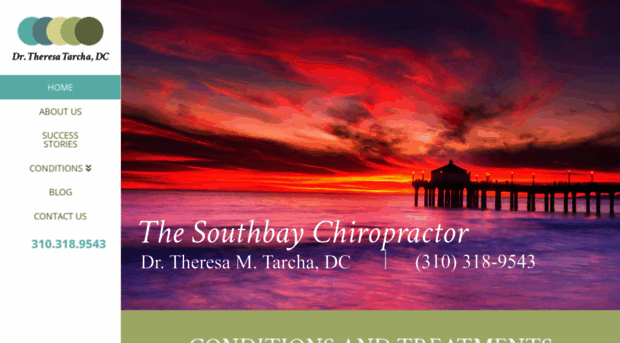 thesouthbaychiropractor.com