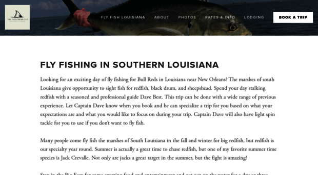 thesouthernfly.com