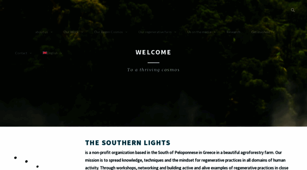 thesouthernlights.org