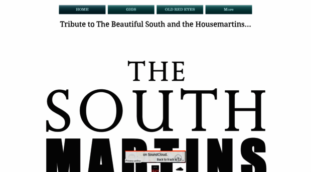 thesouthmartins.com