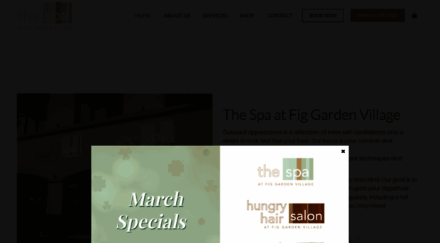 thespaatfgv.com