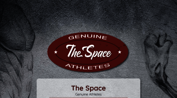 thespacegym.com