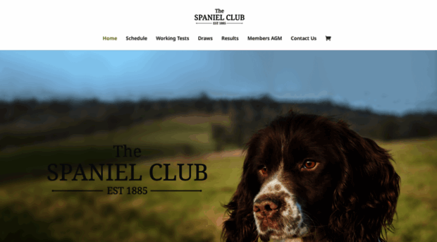 thespanielclub.co.uk