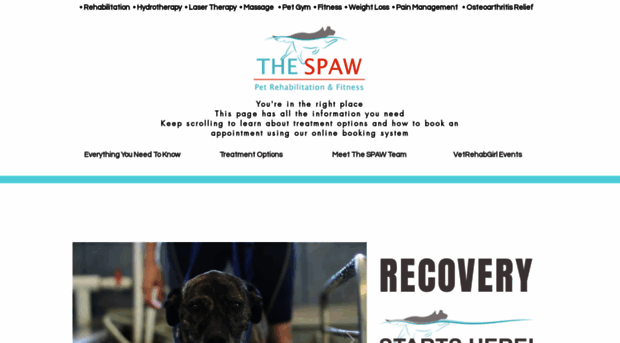 thespaw.com