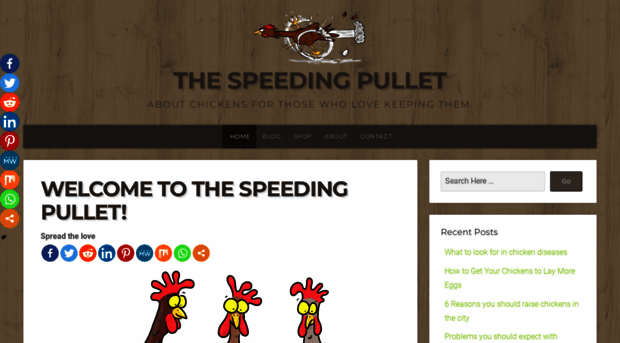 thespeedingpullet.com