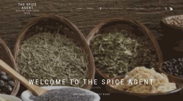 thespiceagent.com