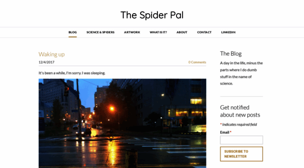 thespidergirl.weebly.com