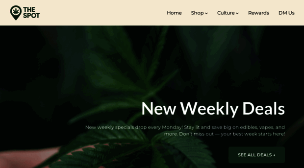 thespotnv.com