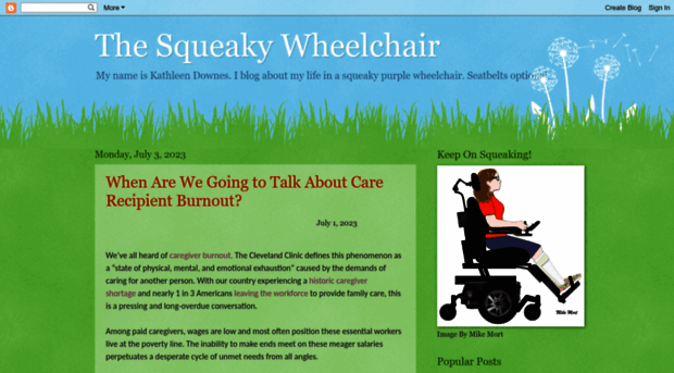 thesqueakywheelchair.blogspot.com