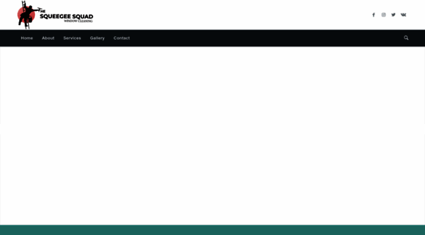 thesqueegeesquad.com.au