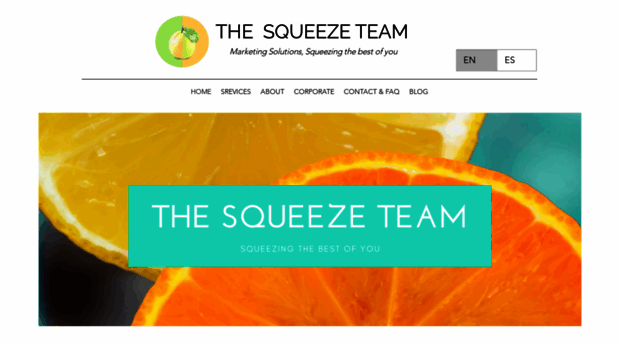 thesqueezeteam.com