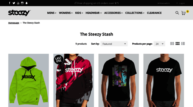 thesteezystash.com