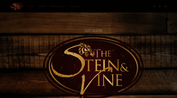 thesteinandvine.com