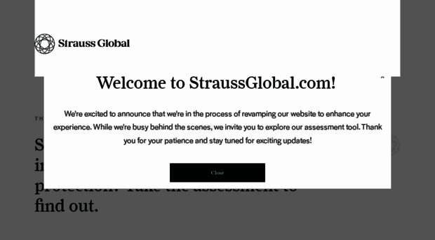 thestrausslawfirm.com