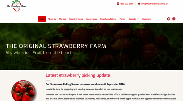 thestrawberryfarm.co.za