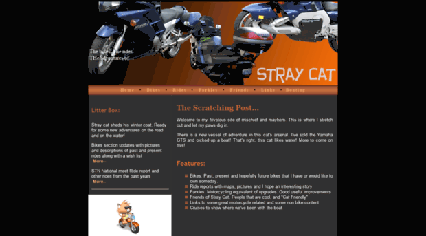 thestraycat.net